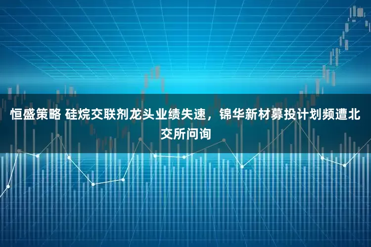 恒盛策略 硅烷交联剂龙头业绩失速，锦华新材募投计划频遭北交所问询